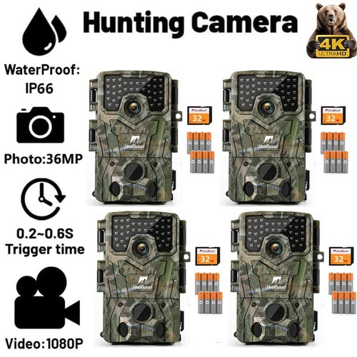 Wildkamera 36mp video - 4k,