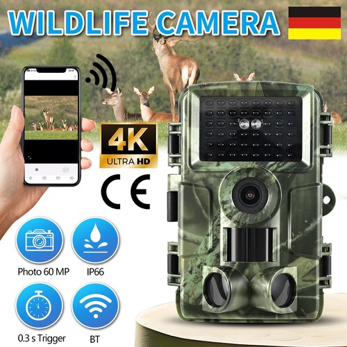 Wildkamera video 60mp - video,