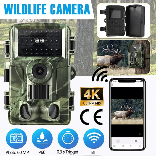 Wildkamera 60mp video - 4k,